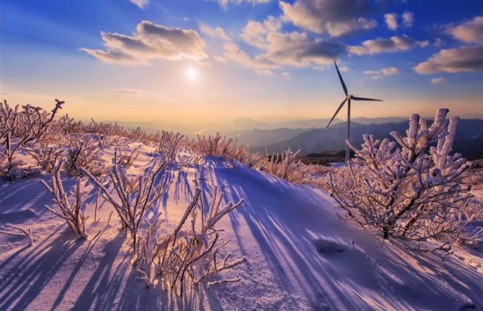 겨울의 숨결, 미래의 바람 기사 이미지