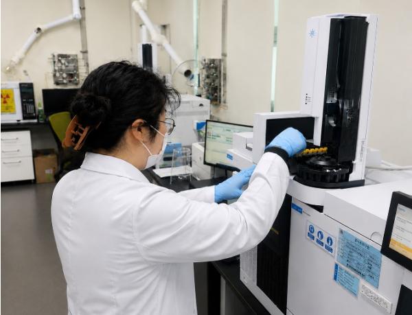 충남도 여름철 달걀 안전성 확보 ‘총력’ 기사 이미지