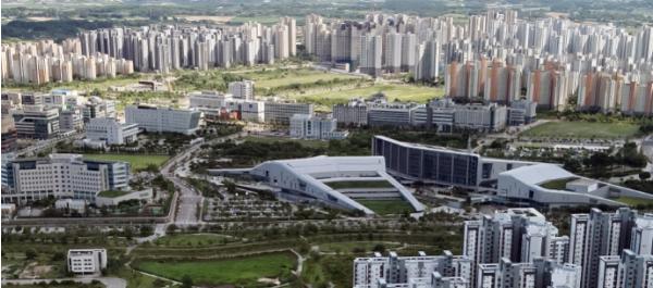 충남도 지각 장마에 멜론 초기 생육관리 주의 기사 이미지